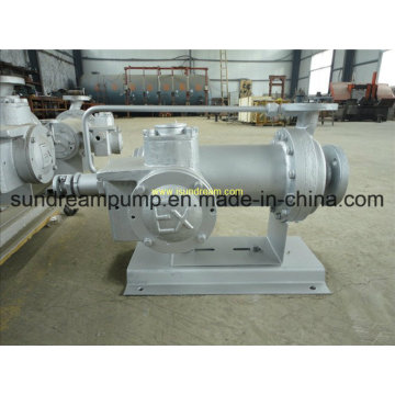 PBW Horizontal Shield Pump (canned motor pump)